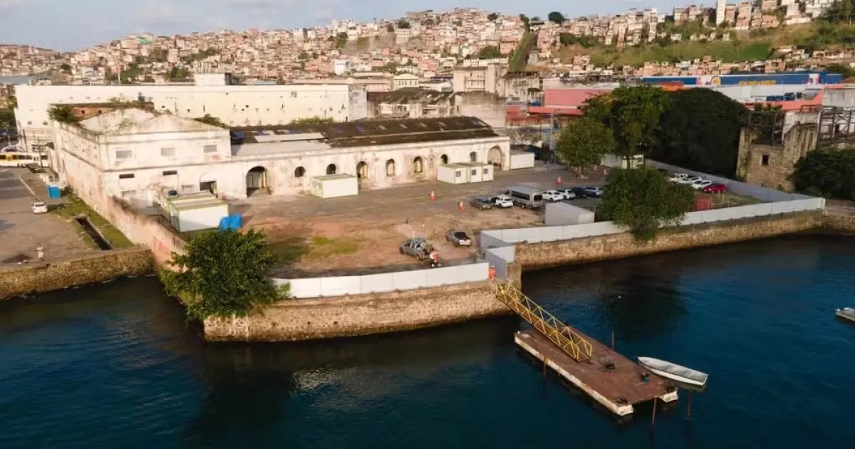 Comissão da Ponte Salvador-Itaparica vai lidar com drama de tutela animal e “vácuo” de responsabilidade sobre bens; entenda