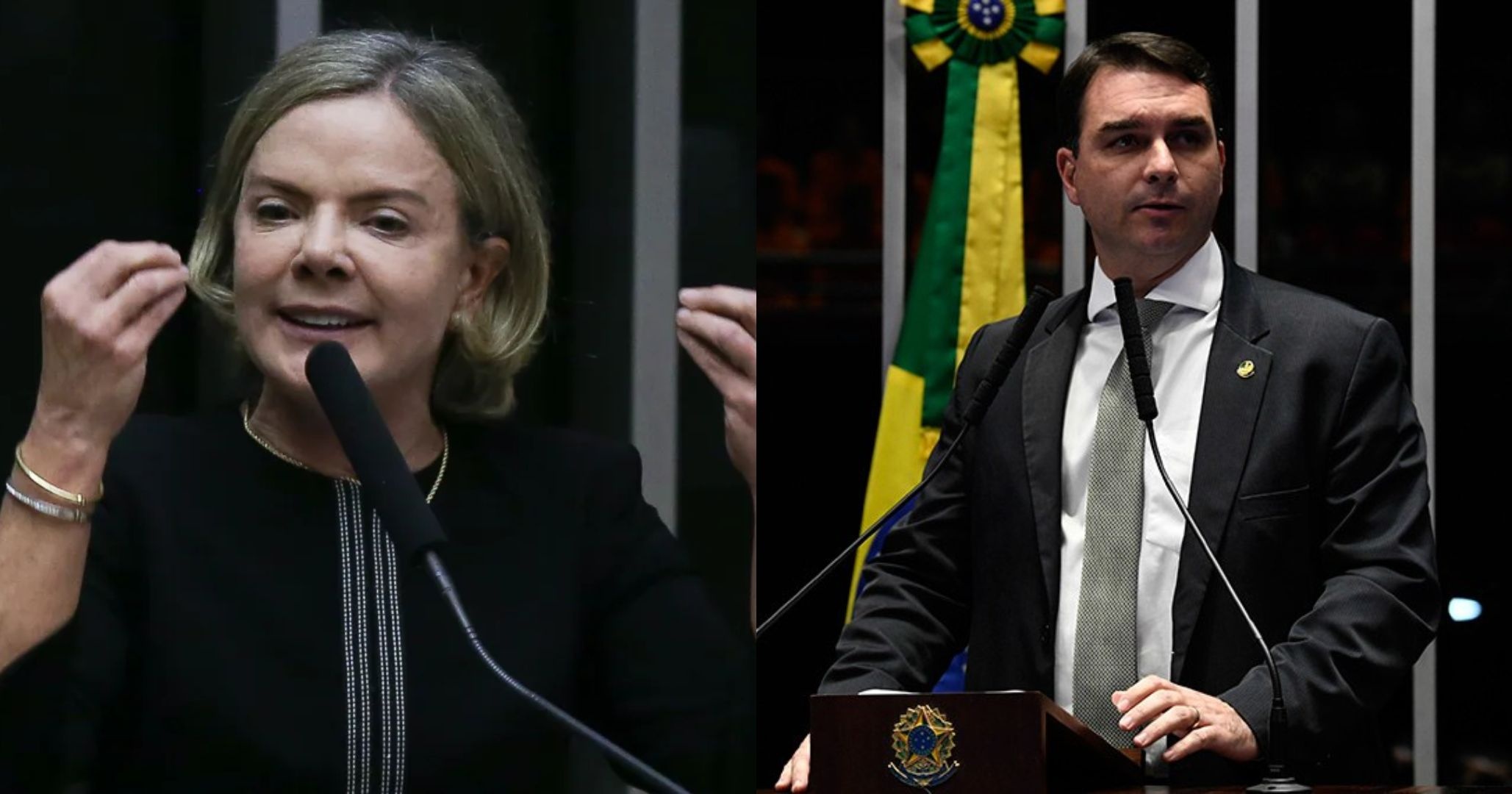 Gleisi Hoffmann critica declarações de Flávio Bolsonaro sobre a Lei Maria da Penha
