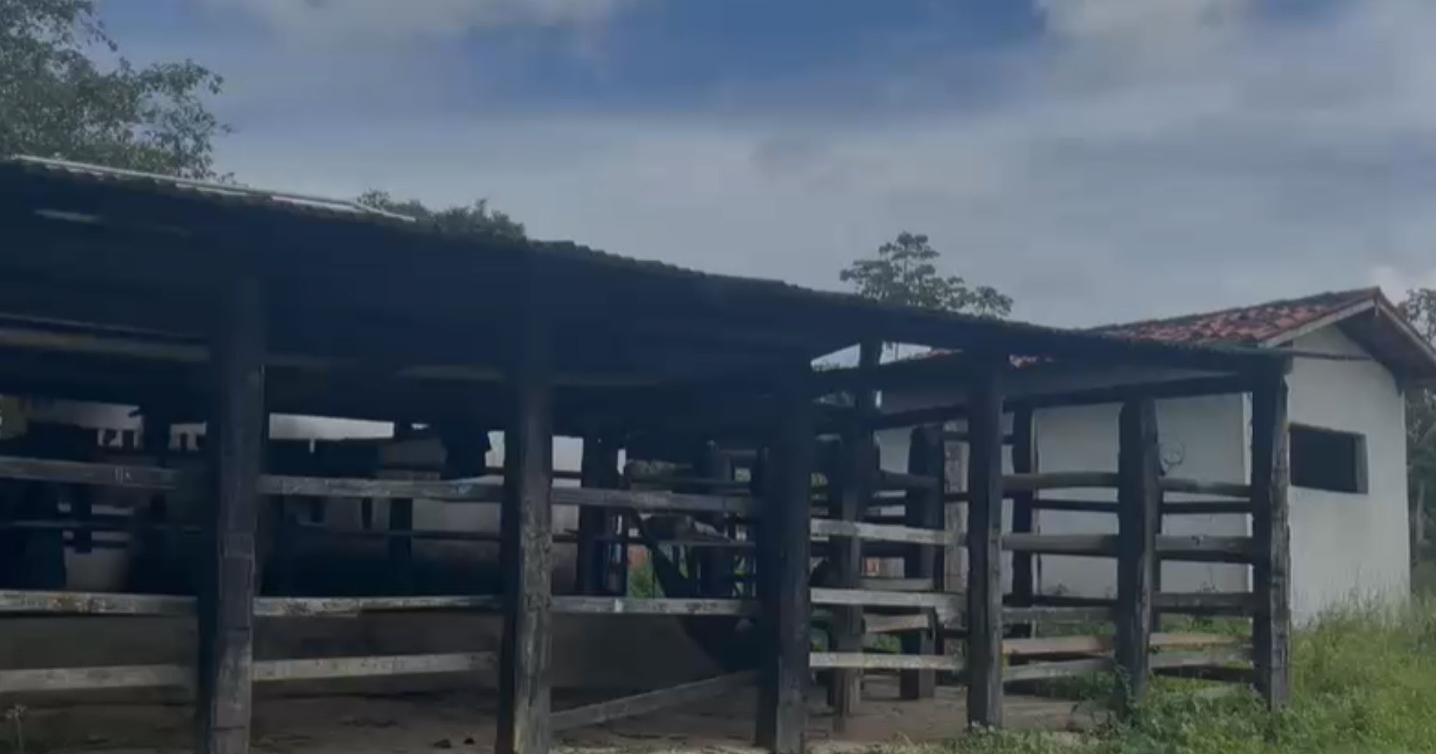 Operação Terra Santa resgata 39 pacientes em situação de cárcere privado em Candeias