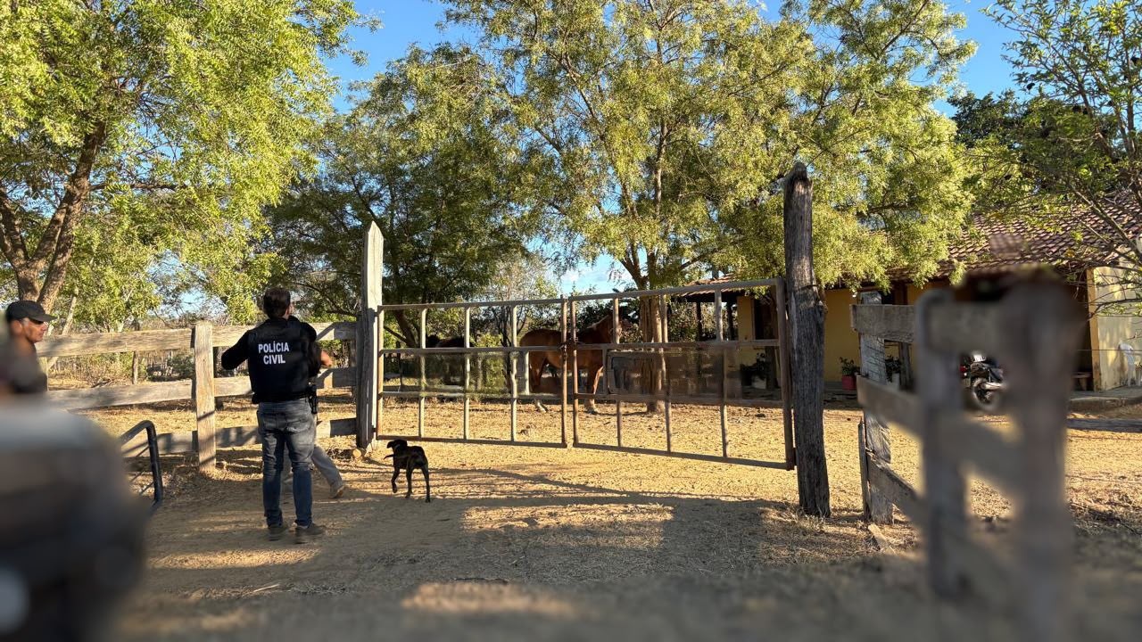 Polícia recupera cabeças de gado furtadas no Oeste da Bahia
