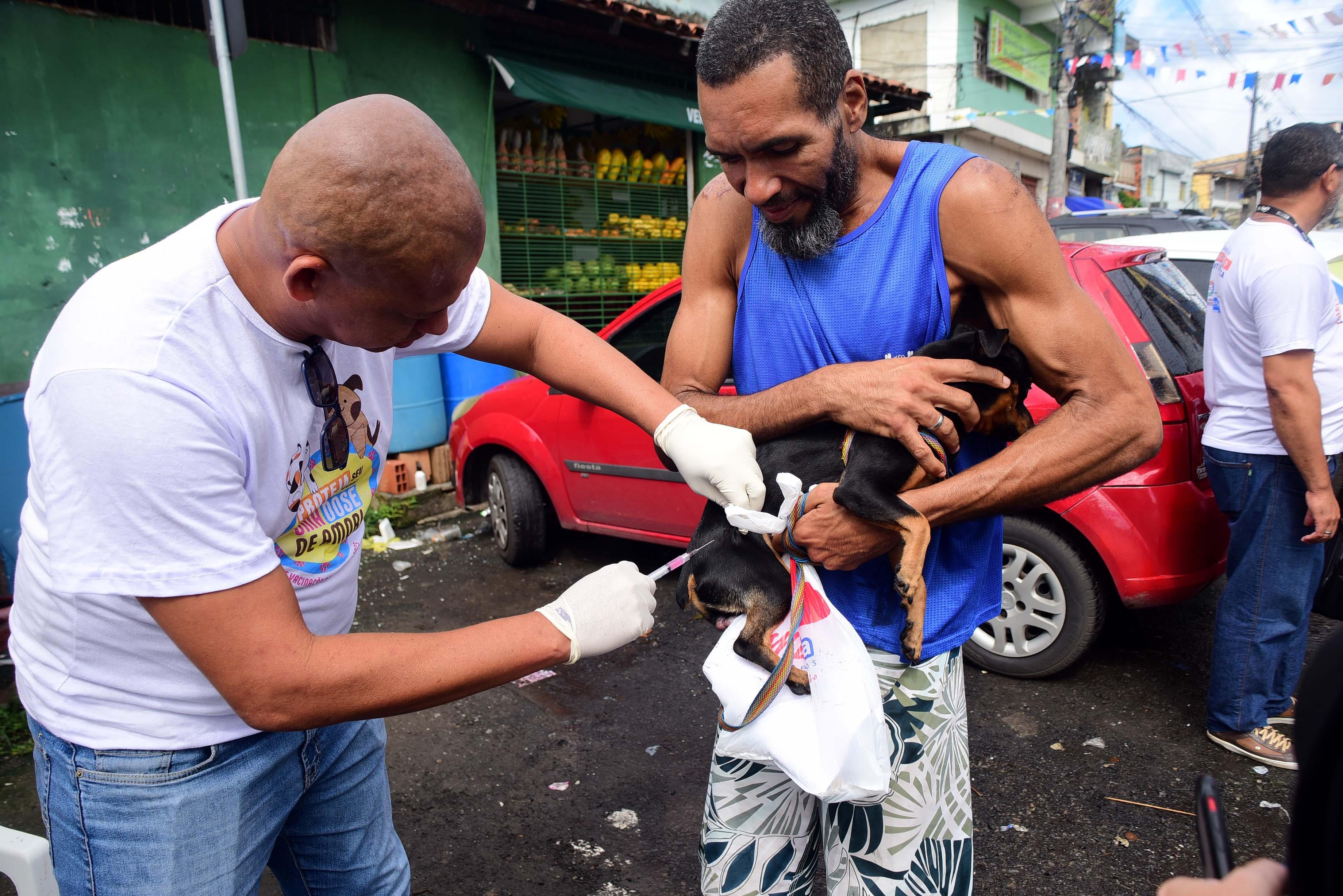 Salvador inicia campanha de vacinação para cães e gatos a partir desta segunda-feira 