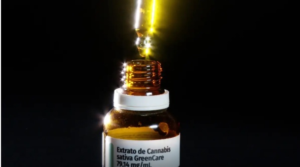 Autorizações para importação de cannabis aumentam 29% em 2026