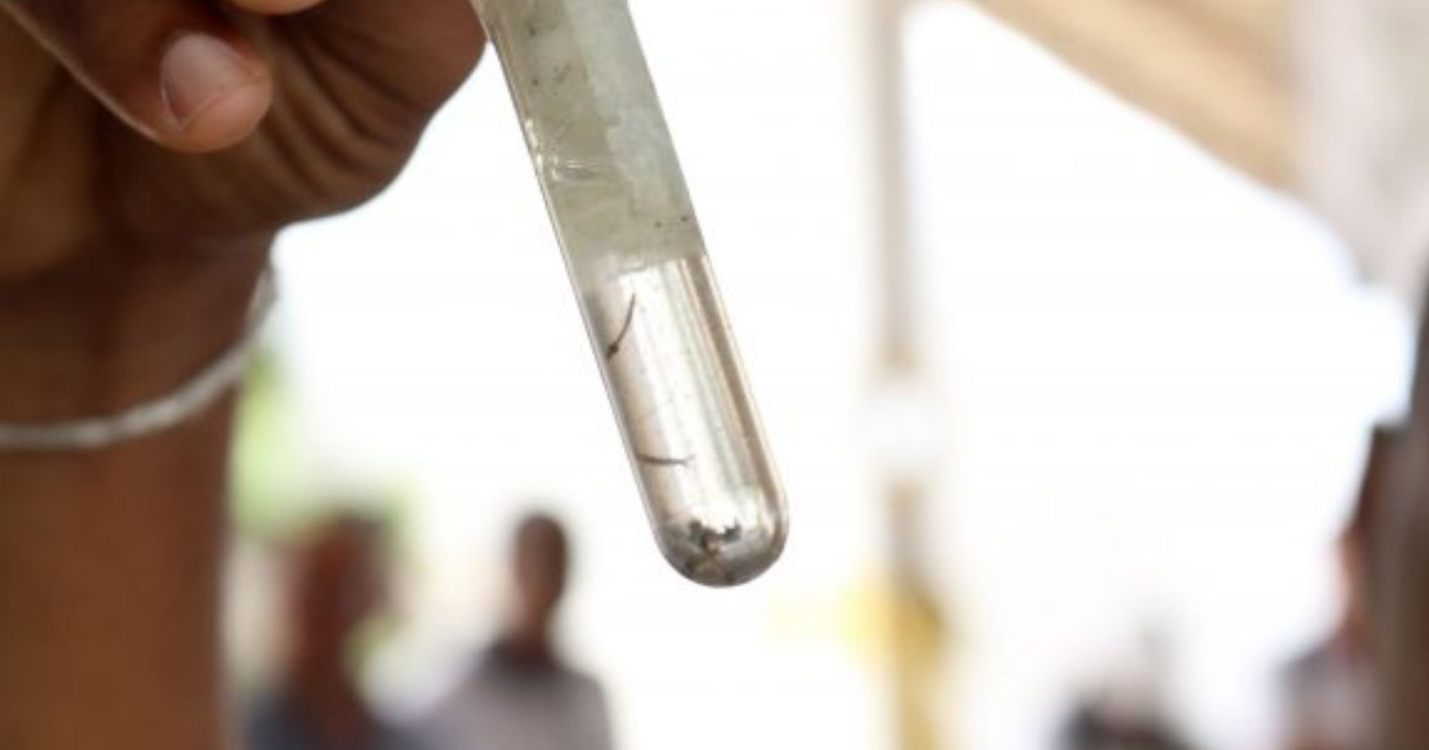 Dengue, zika e chikungunya saiba como prevenir, identificar os sintomas e quando procurar atendimento 