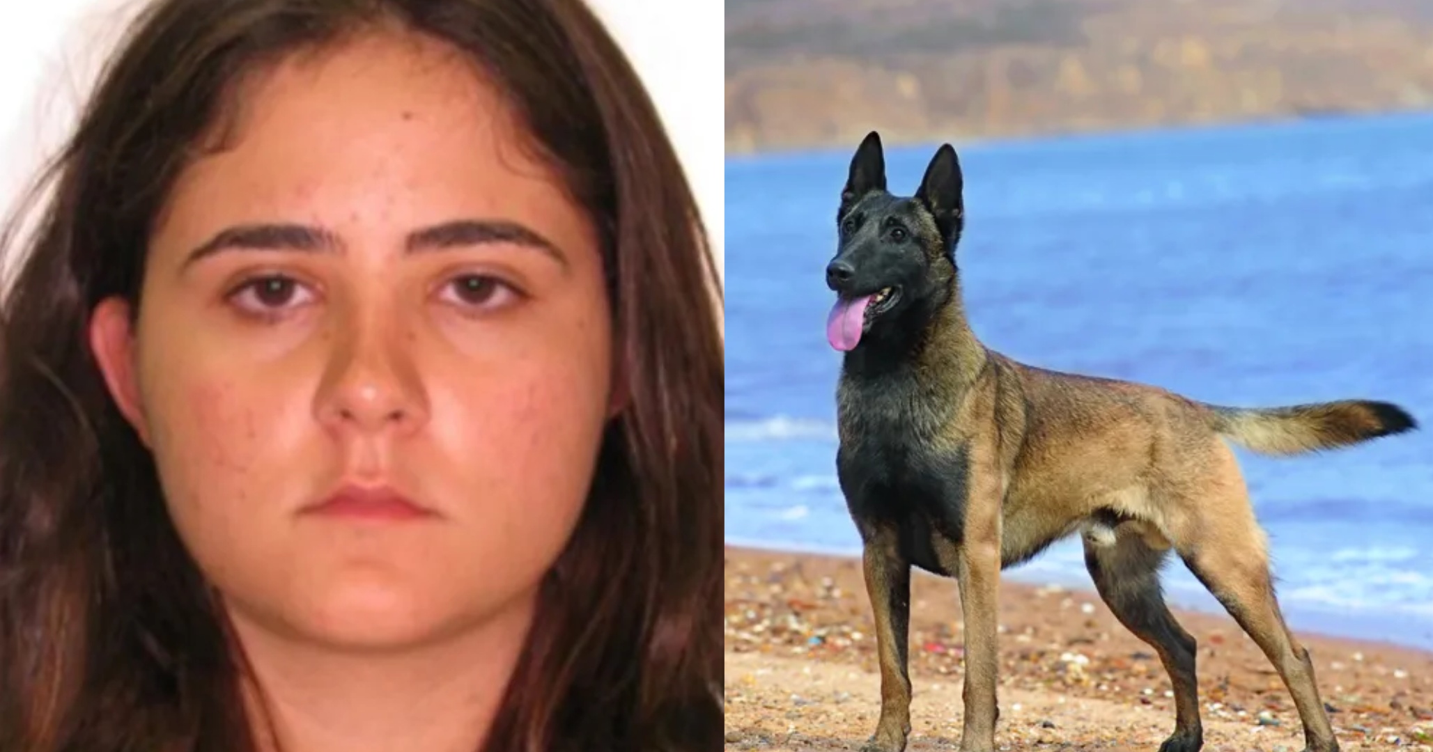 ERRAMOS: Veterinária atacada por cão no Senado Federal passa por cirurgia