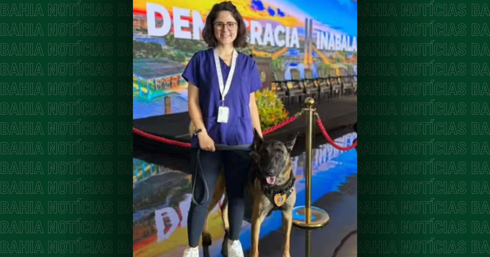 Morre veterinária atacada por cão do Senado em Brasília
