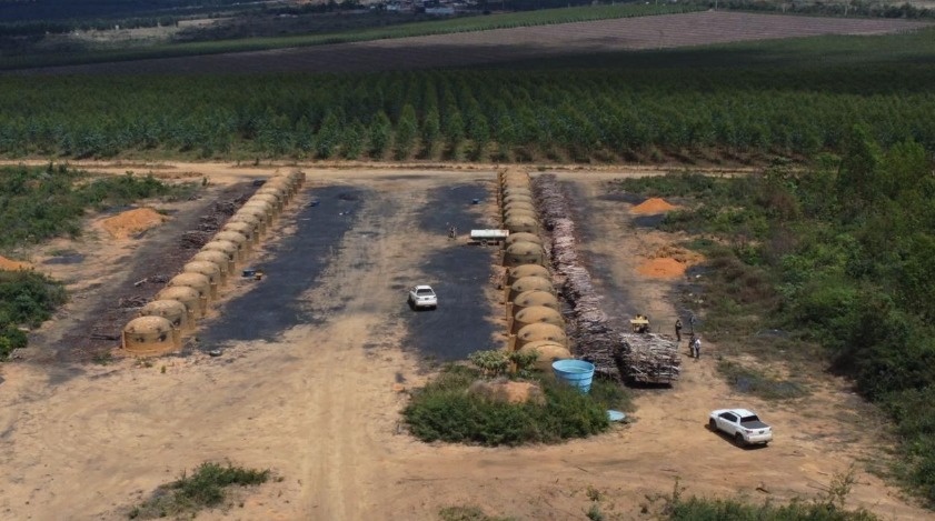 Operação do MP-BA identifica mais de 200 hectares desmatados ilegalmente no litoral norte e sudoeste baianos