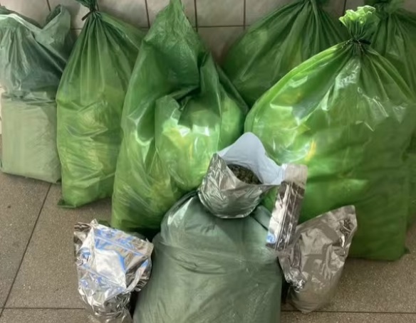 Polícia prende quatro pessoas com 56 kg de maconha em abordagem no Norte baiano