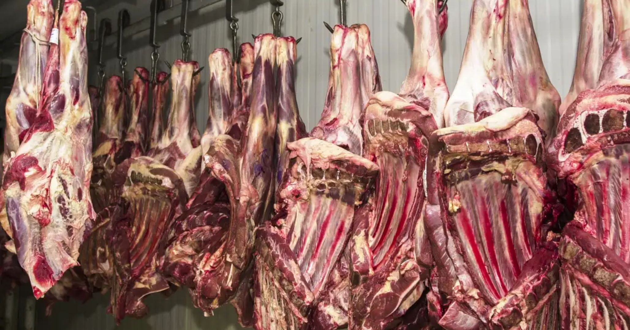 Trump amplia cota isenta de tarifa para importação de carne moída nos EUA; medida beneficia frigoríficos brasileiros