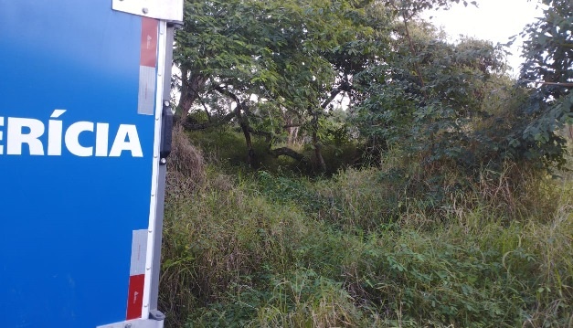 Jovem morre após motocicleta cair em ribanceira na BA-052