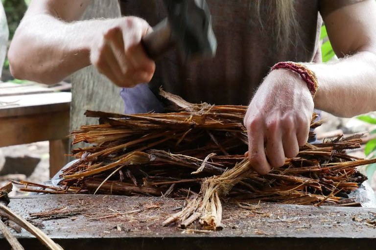 MPF recomenda revisão das regras sobre uso da ayahuasca no Brasil
