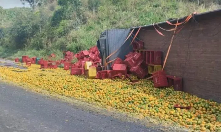 Acidente com caminhões provoca 20 km de congestionamento na BR-101, na Bahia