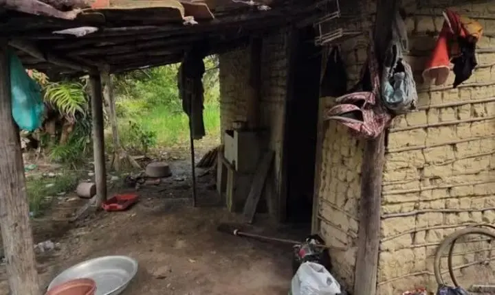 Auditores resgatam 11 trabalhadores de trabalho análogo à escravidão em fazenda de piaçava na Bahia