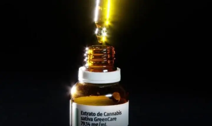 Autorizações para importação de cannabis aumentam 29% em 2026