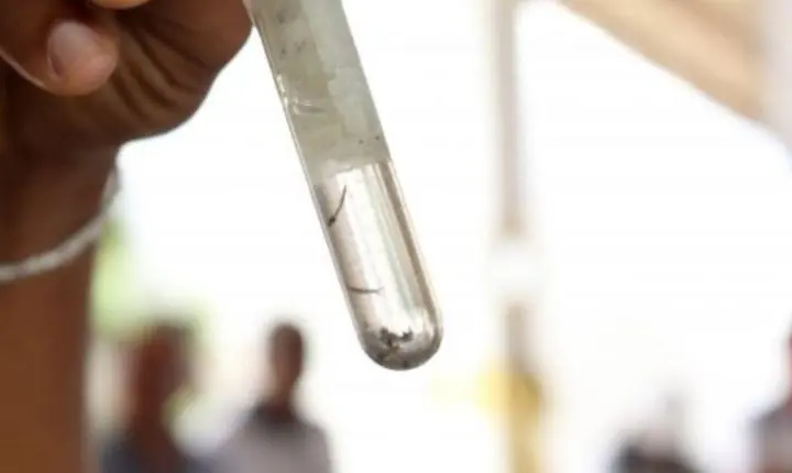 Dengue, zika e chikungunya saiba como prevenir, identificar os sintomas e quando procurar atendimento 