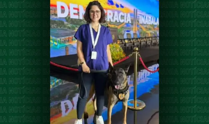 Morre veterinária atacada por cão do Senado em Brasília