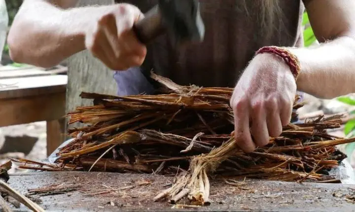 MPF recomenda revisão das regras sobre uso da ayahuasca no Brasil