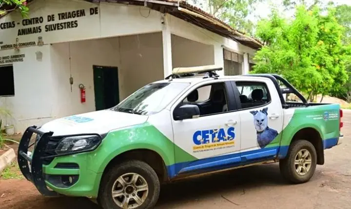 Operação do Ibama apreende freezer com carcaças de animais silvestres no sudoeste da Bahia