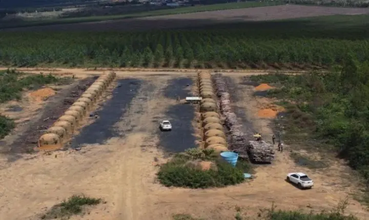Operação do MP-BA identifica mais de 200 hectares desmatados ilegalmente no litoral norte e sudoeste baianos