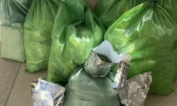 Polícia prende quatro pessoas com 56 kg de maconha em abordagem no Norte baiano