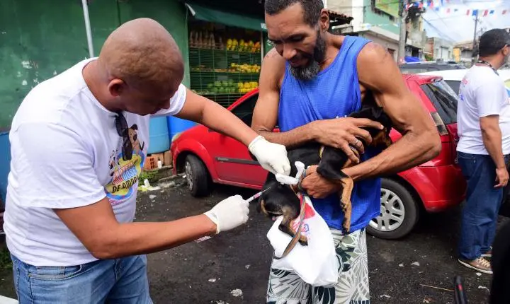Salvador inicia campanha de vacinação para cães e gatos a partir desta segunda-feira 