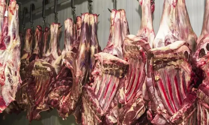 Trump amplia cota isenta de tarifa para importação de carne moída nos EUA; medida beneficia frigoríficos brasileiros